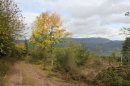 Longue descente